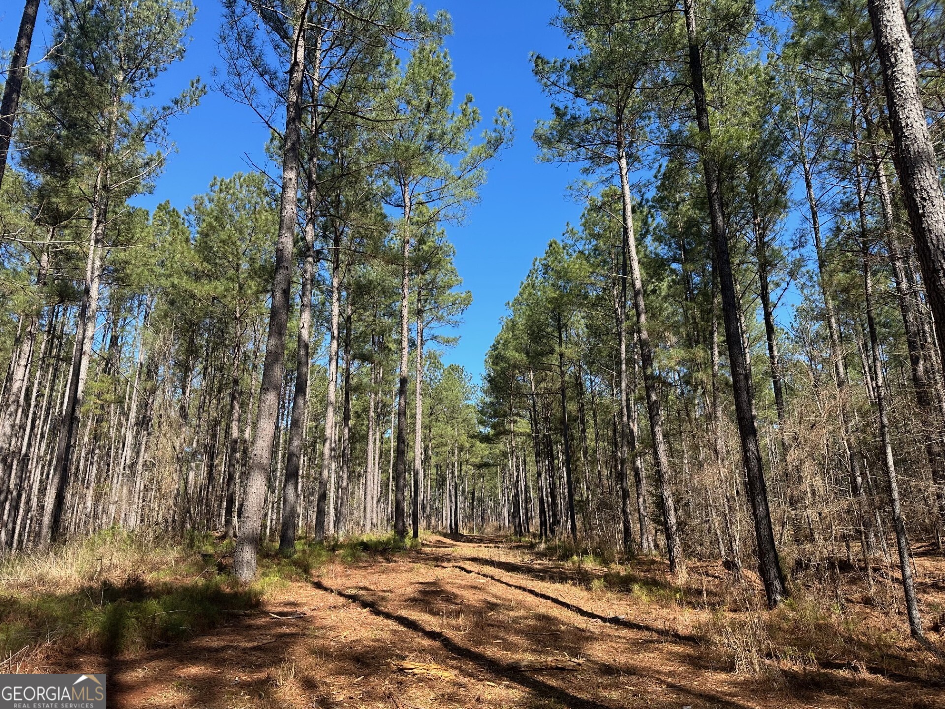 1500 Middlebrooks Road