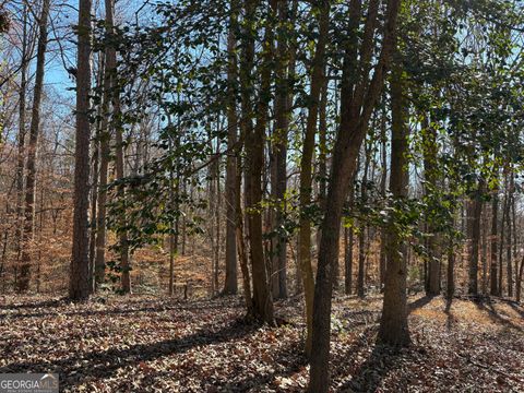 0 Lewis DR Lavonia GA 30553