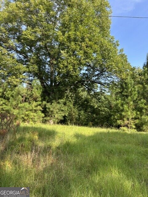 Photo of 806 Pea Ridge Road, Juliette, GA 31046 (MLS # 10832800)