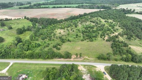 Photo of 0 Baldee Road, Bartow, GA 30413 (MLS # 10715784)