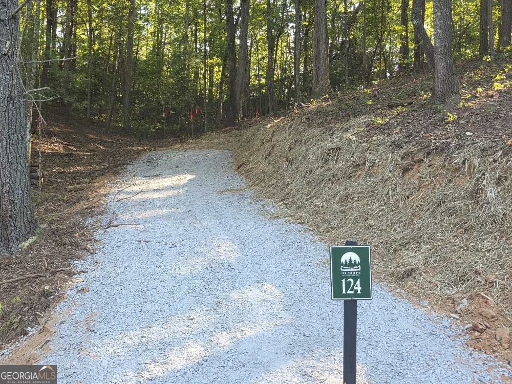Escape the hustle and bustle of city life and discover your mountain retreat on this beautiful 1.32-acre private, wooded lot in the heart of the North Georgia Mountains. Tucked away in the scenic town of Ellijay-only 7 Miles from downtown-this lot offers a peaceful setting with an easy buildsite, making it perfect for your dream cabin or weekend getaway. Located in The Preserve at Mountaintown Creek, a gated community designed for nature lovers and outdoor enthusiasts, you'll enjoy top-notch amenities including a fully completed pool and pavilion, pickleball court, creekfront park, and a kayak/canoe launch offering access to a full mile of bold trout stream. With paved roads, underground utilities, and city water already in place, this property is ready for you to build and enjoy. Don't miss this rare opportunity to own creekfront land in one of North Georgia's most desirable mountain communities.