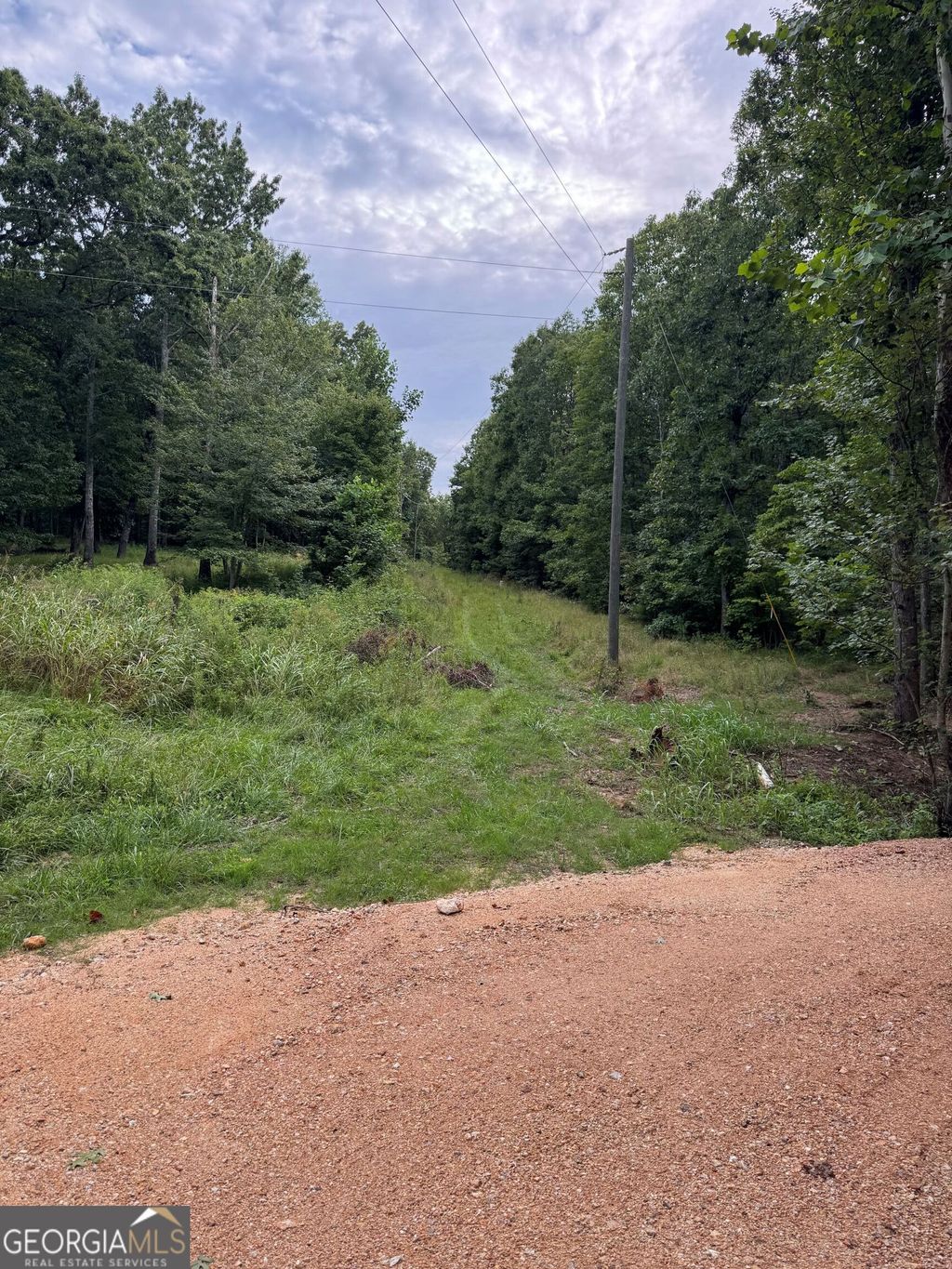 Photo of 0 Tatum Gulf Road, Menlo, GA 30731 (MLS # 10700638)