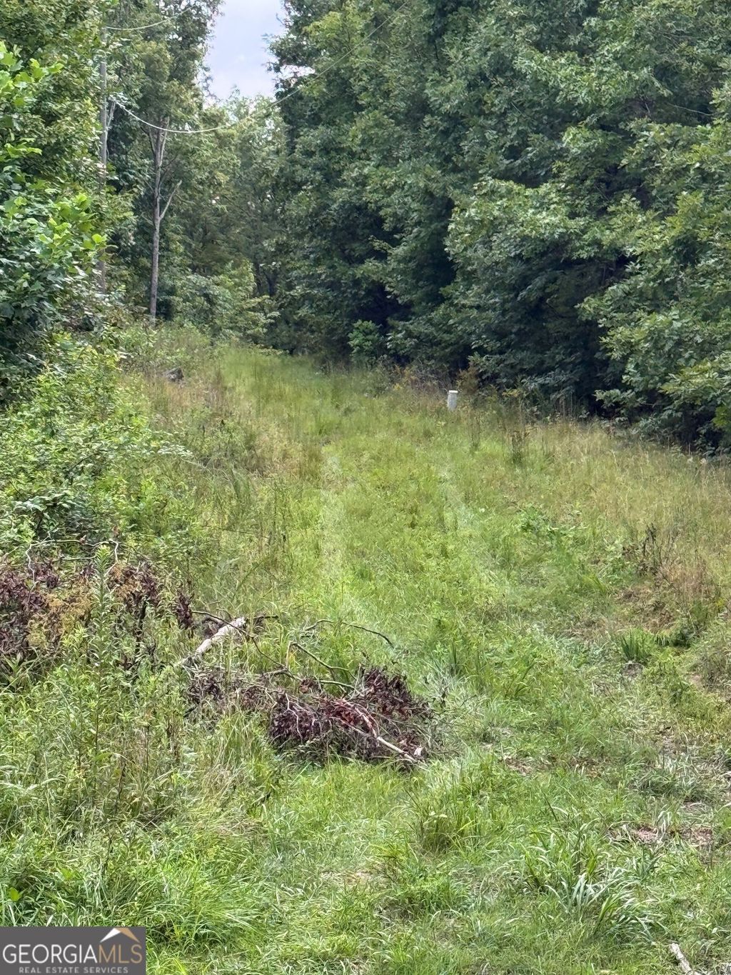 Photo of 0 Tatum Gulf Road, Menlo, GA 30731 (MLS # 10700638)