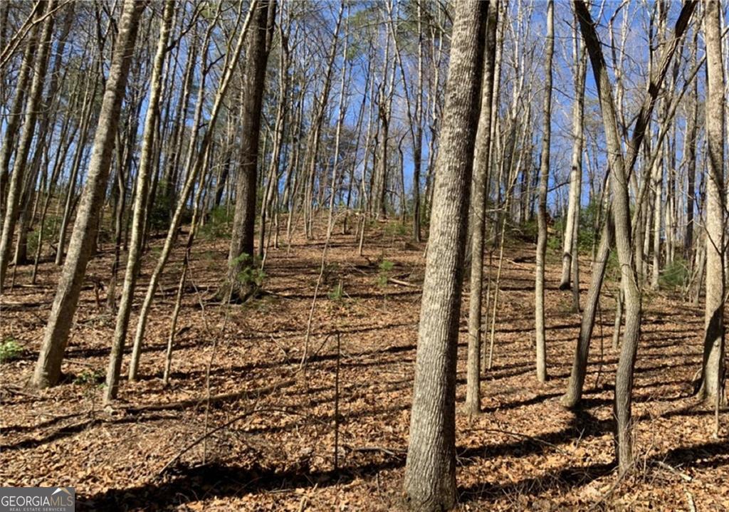 This exceptional .75-acre lot nestled in a serene cul-de-sac offers unparalleled privacy, making it the perfect canvas for your dream cabin or forever home. Located in a desirable golf course community, enjoy the best of both worlds Co tranquility and recreation await! Don't miss this opportunity to create your own sanctuary in Ellijay and own a slice of paradise.