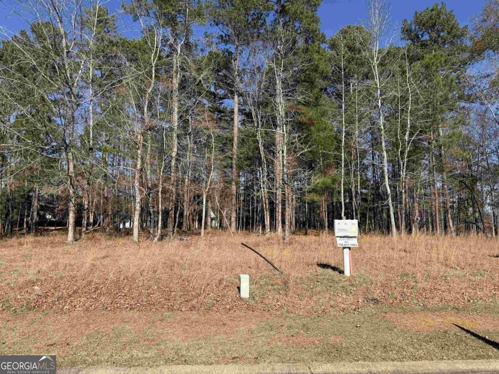 Photo of 1011 Willow Trail, Greensboro, GA 30642 (MLS # 10660526)