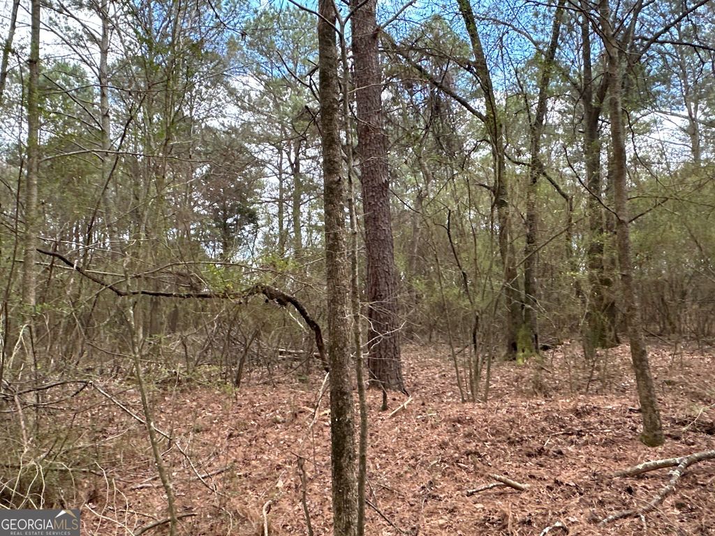 Photo of 0 Popham Road #TRACT 3, Taylorsville, GA 30178 (MLS # 10708161)