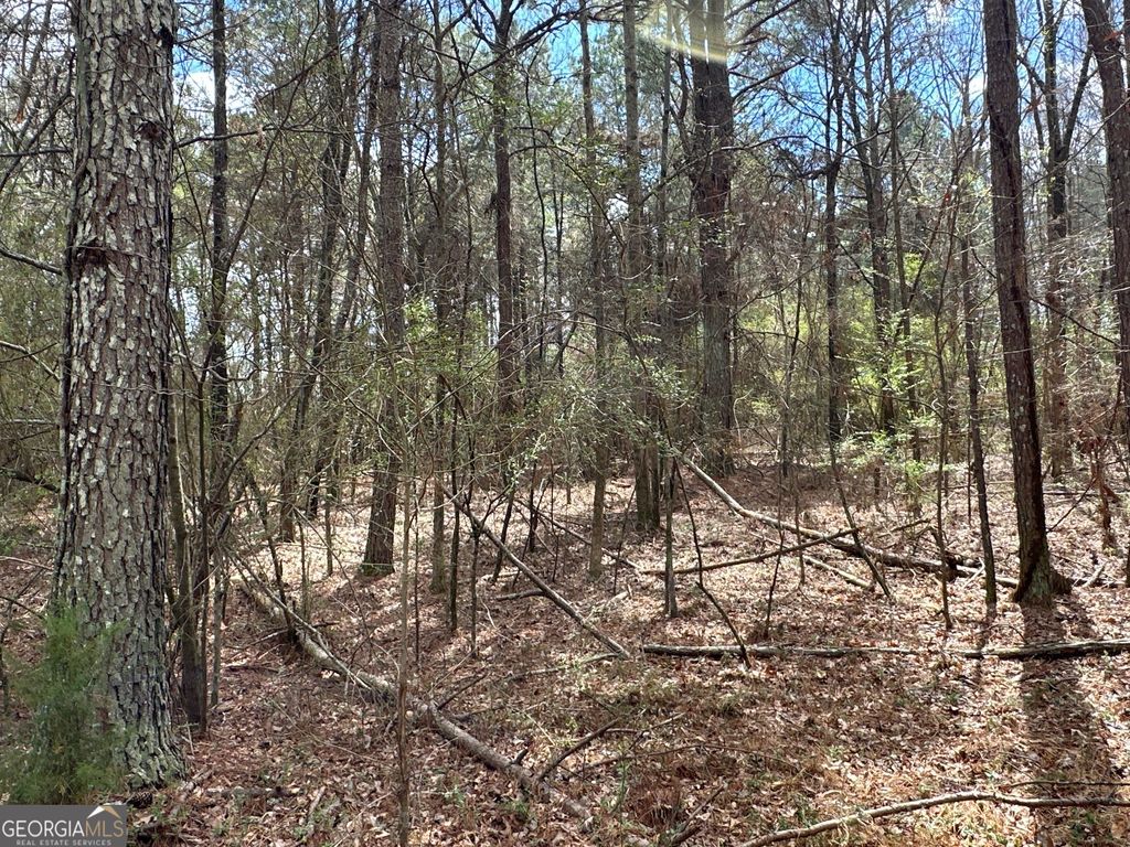 Photo of 0 Popham Road #TRACT 3, Taylorsville, GA 30178 (MLS # 10708161)