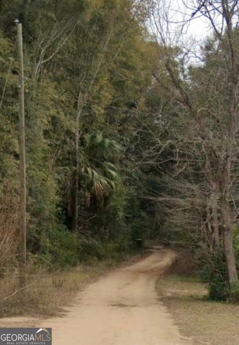 Photo of 467745 Lot North Street, Bainbridge, GA 39817 (MLS # 10480497)