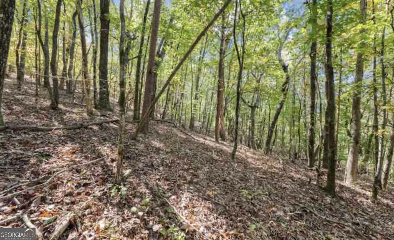 LOT 24 Luther Palmer RD