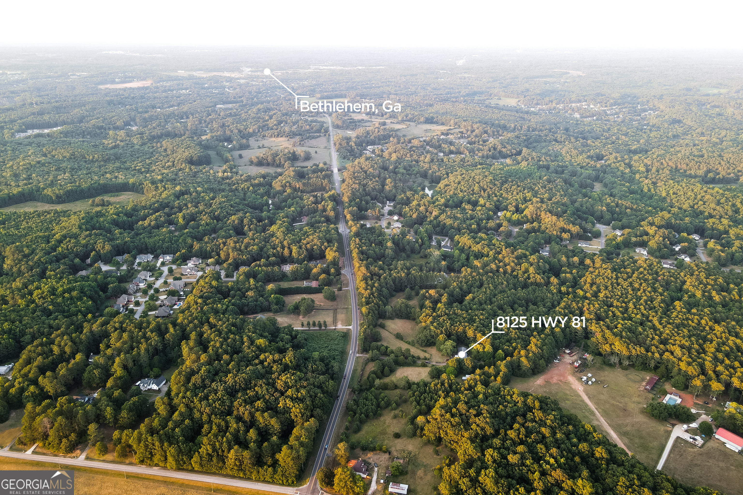 8125 Highway 81