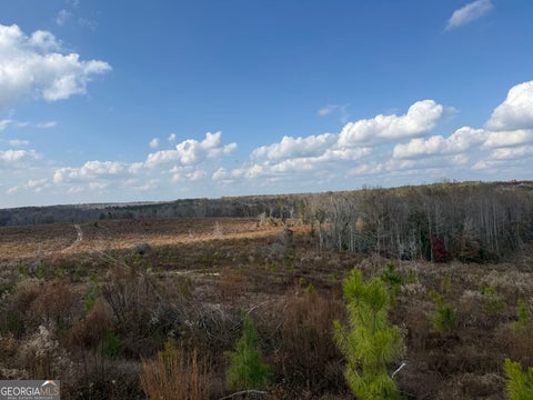 Photo of 994 Joe Jones Rd, Ideal, GA 31041 (MLS # 10844790)