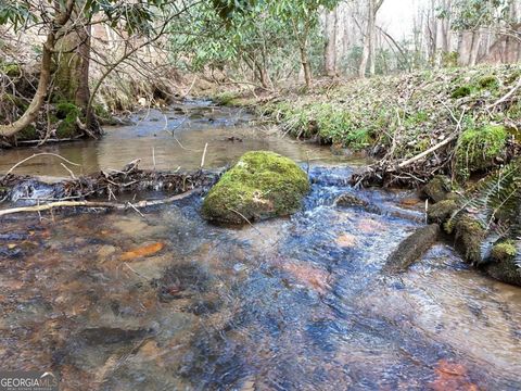 Photo of 44 Synacia Drive, Mineral Bluff, GA 30559 (MLS # 10713393)