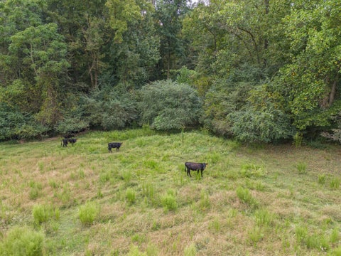 Featured picture for the property 10208239