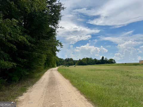 Photo of 257 W Crusselle Street, Roberta, GA 31078 (MLS # 10825872)