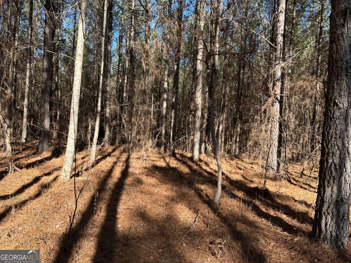 1107 Larmon Forks RD