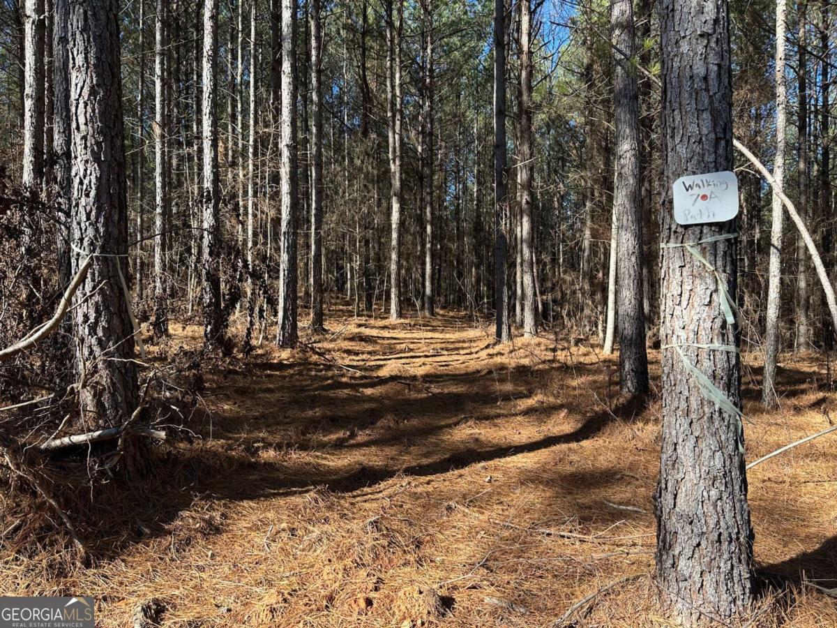 1107 Larmon Forks RD