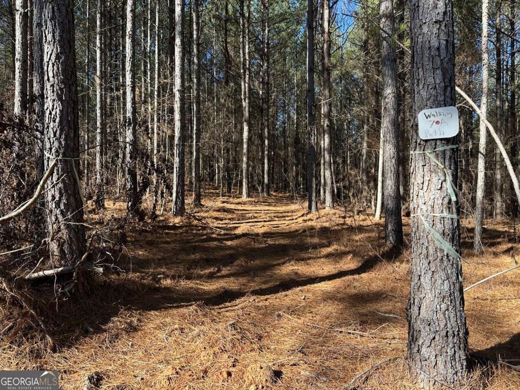 Photo of 1107 Larmon Forks Road, Dahlonega, GA 30533 (MLS # 10661696)