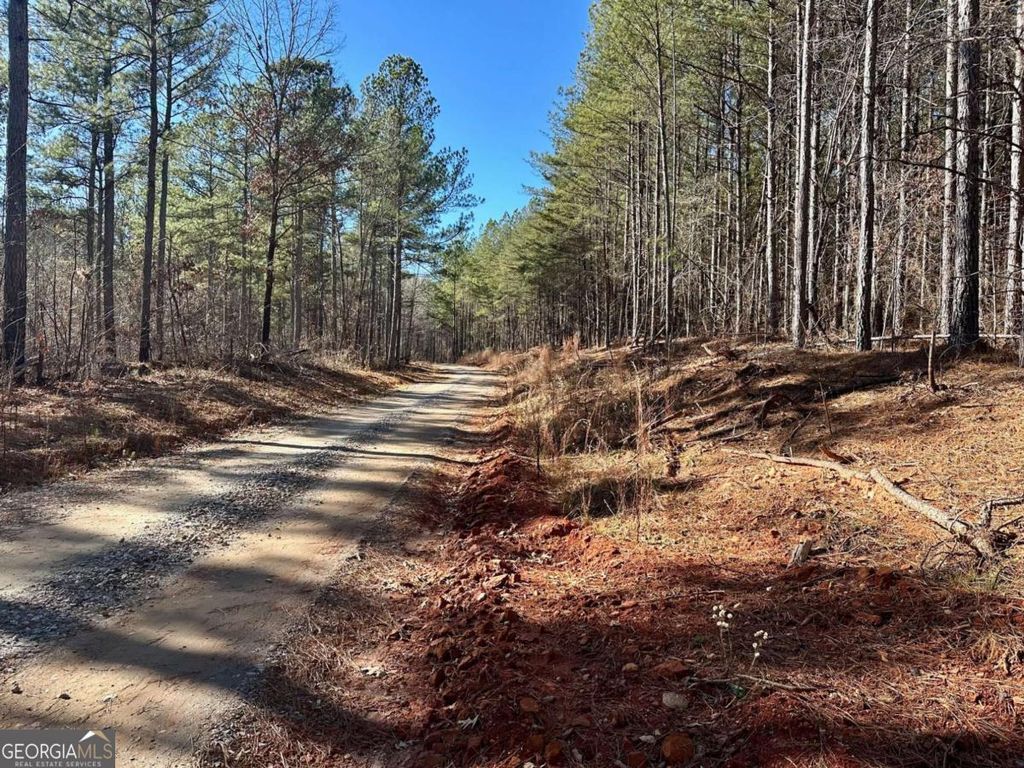 Photo of 1107 Larmon Forks Road, Dahlonega, GA 30533 (MLS # 10661696)