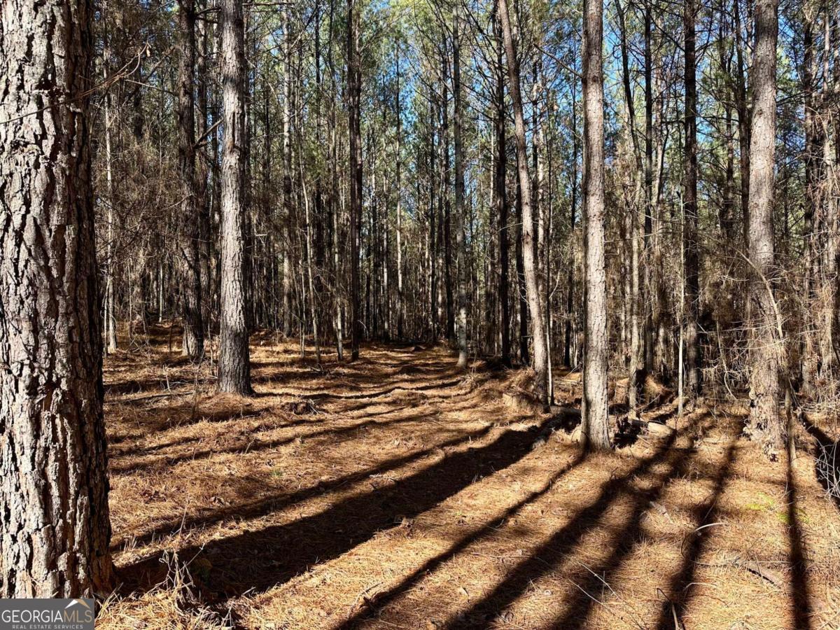 1107 Larmon Forks RD