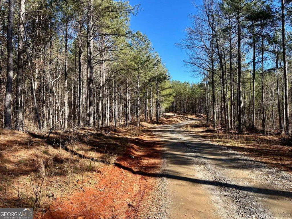 Photo of 1107 Larmon Forks Road, Dahlonega, GA 30533 (MLS # 10661696)