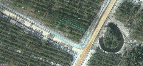 Photo for LOT 172 Satilla Plantation