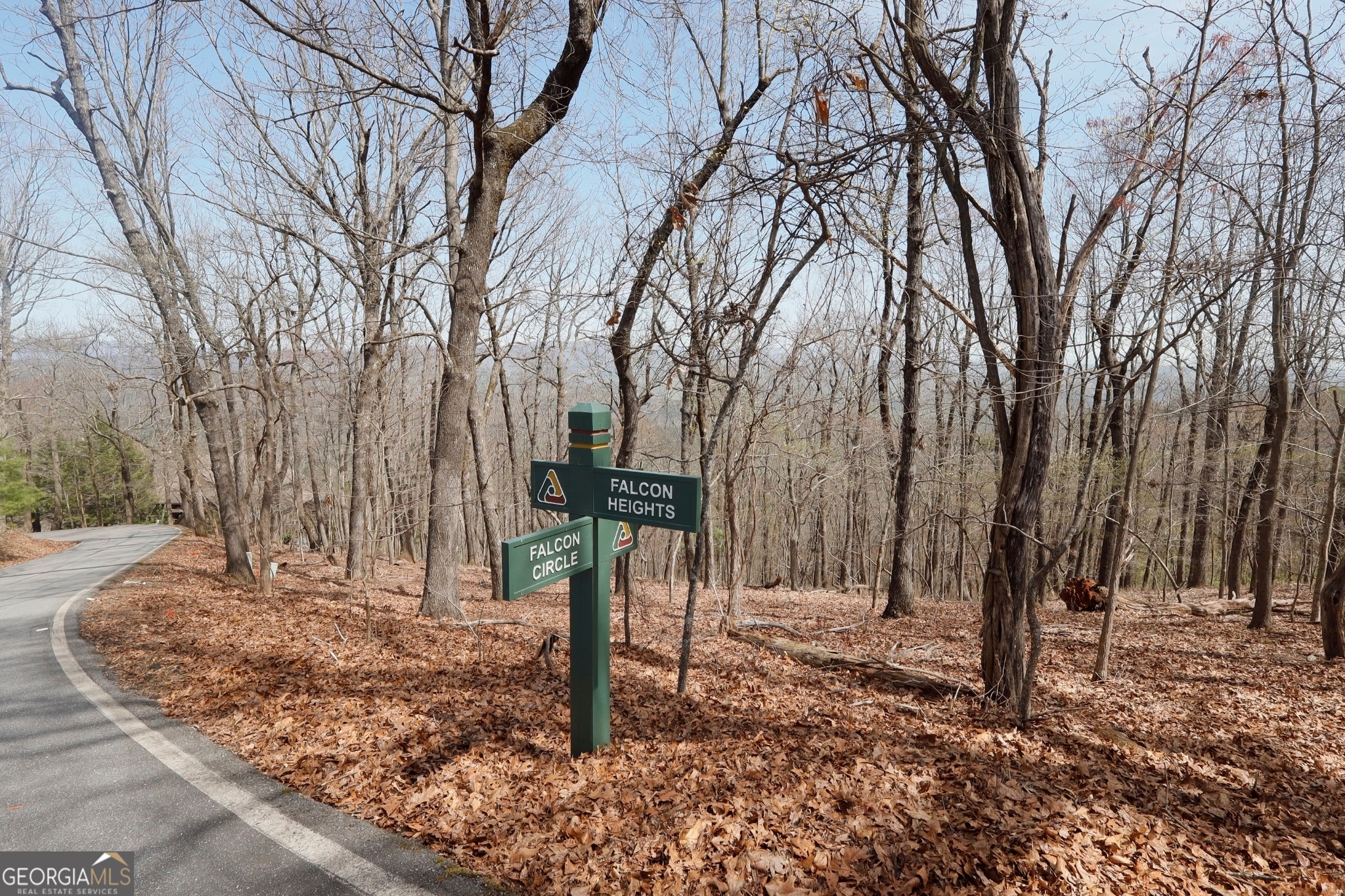 Discover the perfect opportunity to build your dream home in the prestigious gated community of Big Canoe. Nestled at 820 Falcon Heights, this beautiful wooded lot offers privacy, serene mountain views, and the ideal blend of nature and luxury living. Enjoy access to top-tier amenities, including golf, hiking trails, lakes, a marina, a fitness center, tennis courts, and more. This lot is ready for your custom build with utilities available and paved road access. Whether you're planning a peaceful retreat or a full-time residence, this property is a must-see!