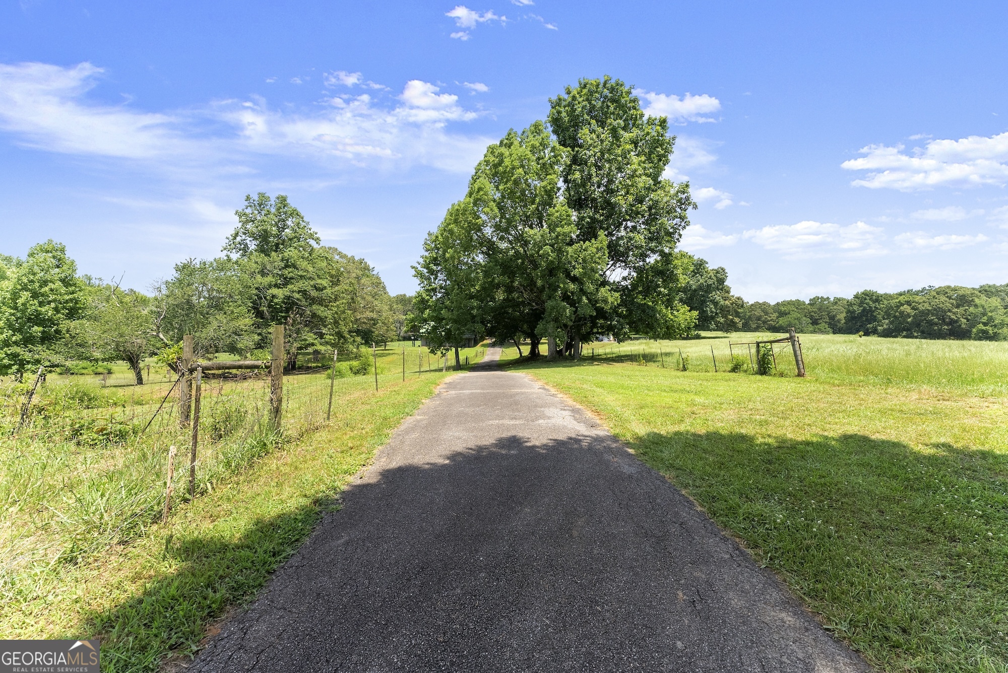 442 Dollar RD