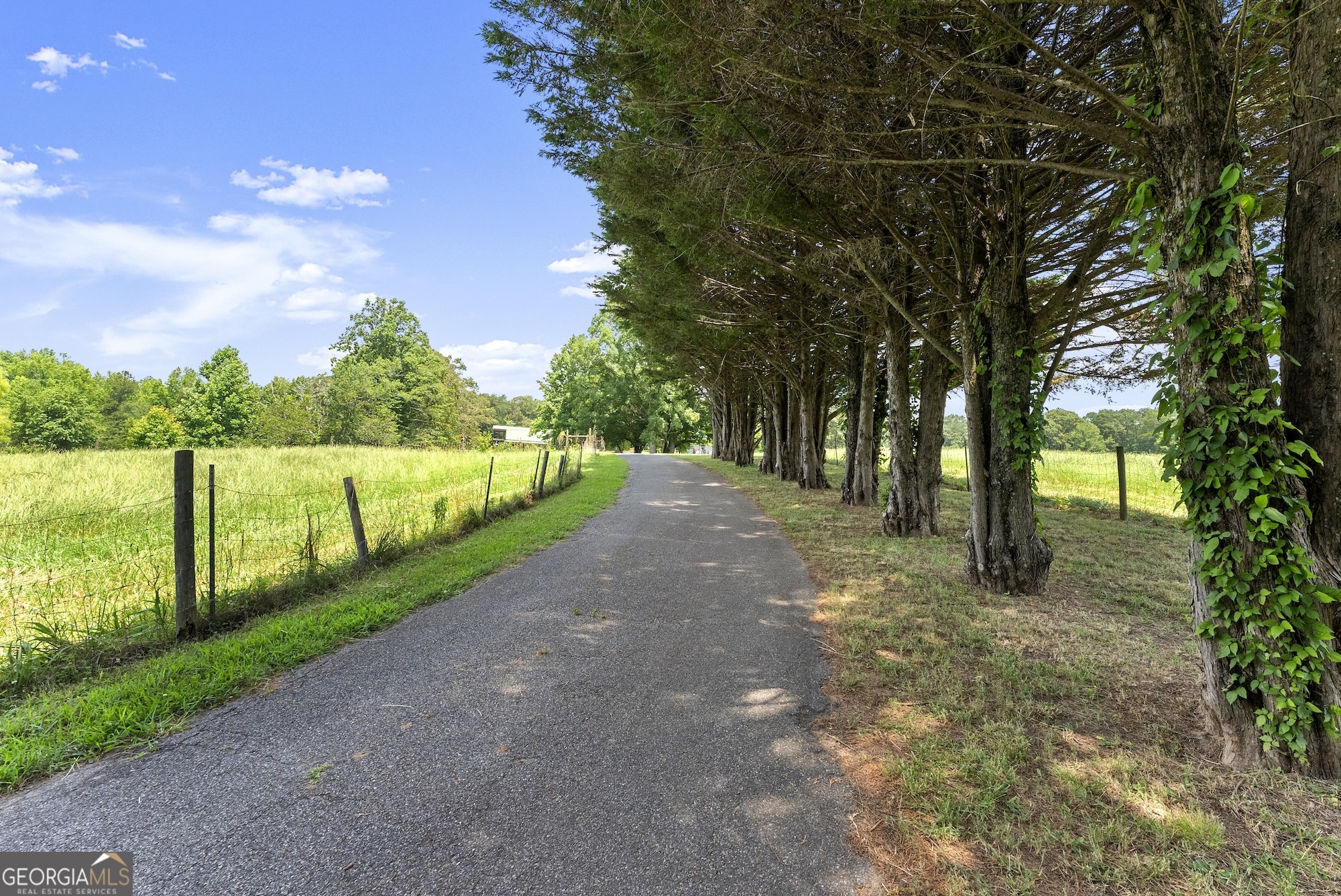 442 Dollar RD