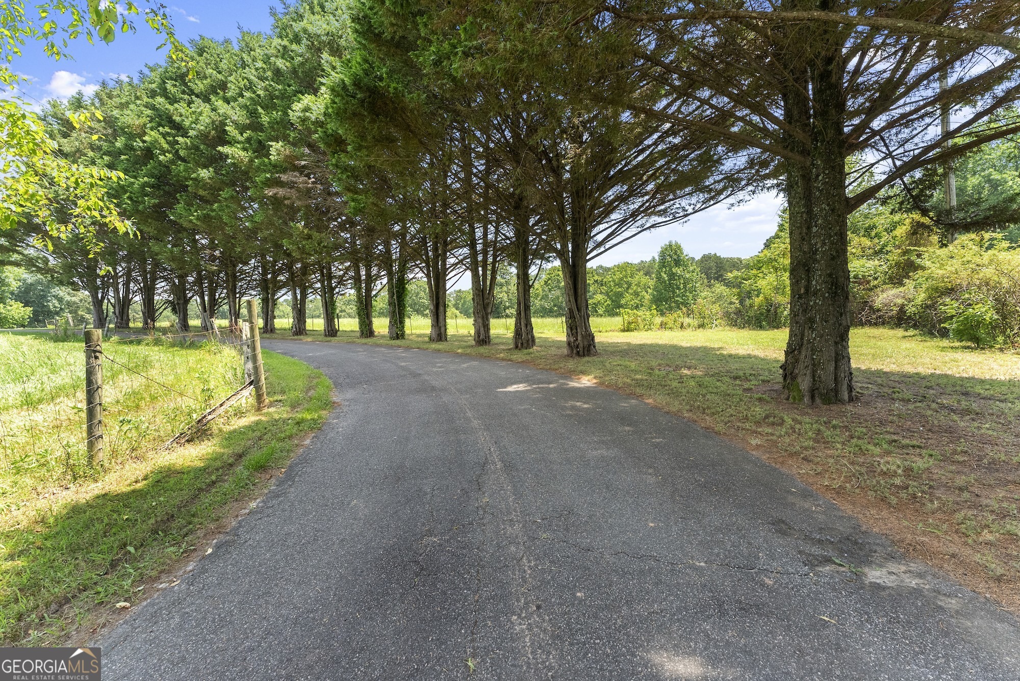 442 Dollar RD
