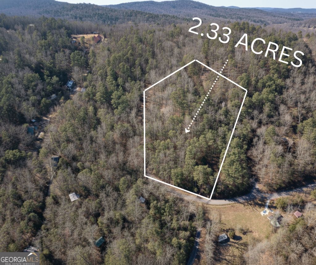 Photo of 58 Doe Run, Ellijay, GA 30540 (MLS # 10660207)