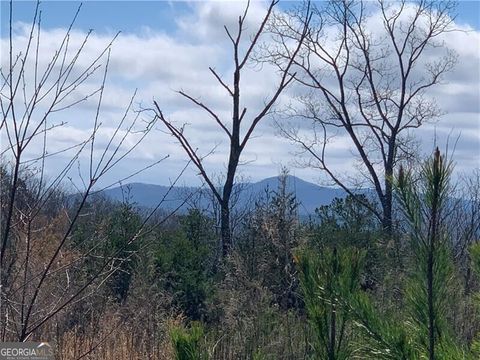 0 Jones Mountain Road Talking Rock GA 30175