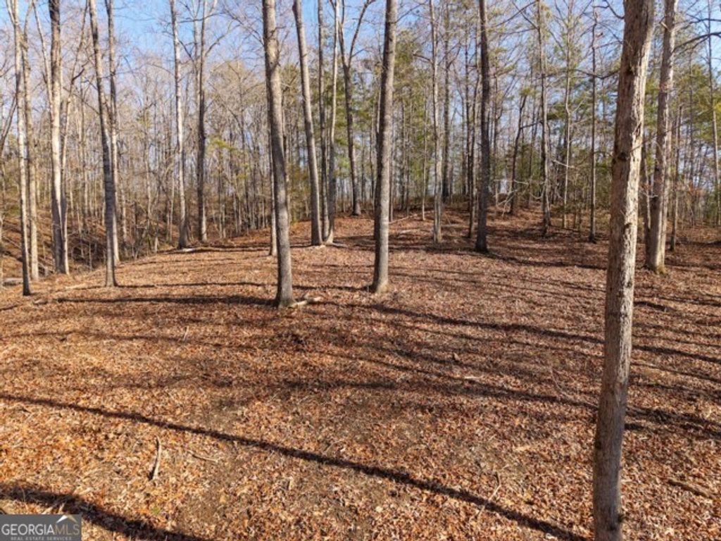 Photo of 1884 Finale Street, Talking Rock, GA 30175 (MLS # 10691855)