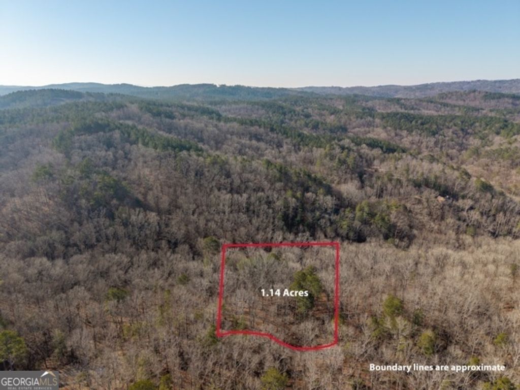 Photo of 1884 Finale Street, Talking Rock, GA 30175 (MLS # 10691855)