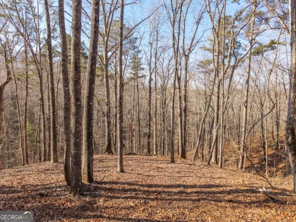 Photo of 1884 Finale Street, Talking Rock, GA 30175 (MLS # 10691855)