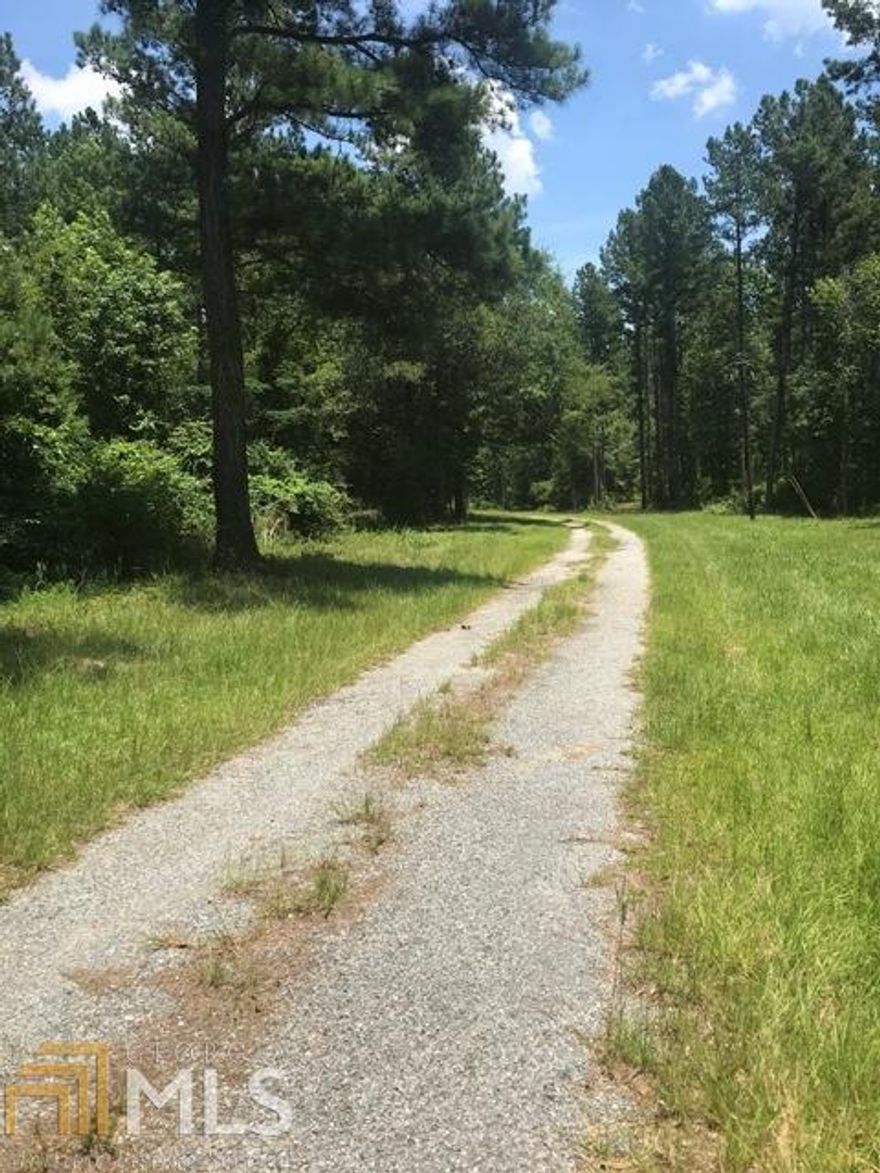151 ACRES OF PRIME TIMBER LAND  2500 CANOOCHEE RIVER FRONT HIGH BLUFF CRUISE AVILABLE