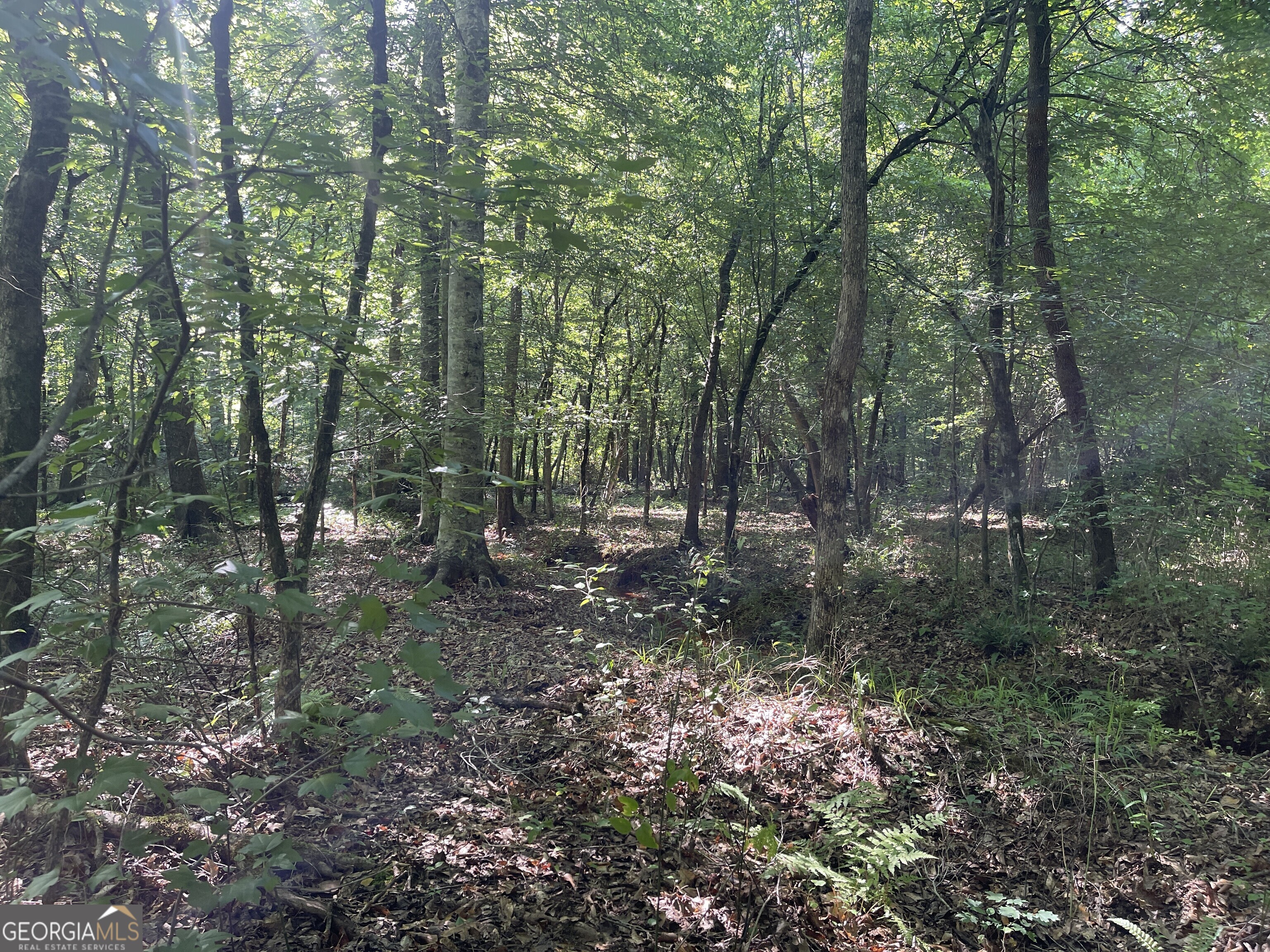 5 Acre lot available. Uplands are planted with pines with well drained soils suitable for septic systems. Minutes away are two boat ramps that make accessing the Chattahoochee river and West Point Lake a breeze. Directly across the road is West Point WMA with over 8,000 acres of recreational opportunities. Ten minutes to Franklin and ten minutes to Lagrange makes your runs to town convenient while still being able to enjoy the peace and quiet of the country. Heard County public schools.
