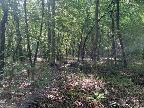 0 Bevis Rd Parcel 7 Franklin GA 30217