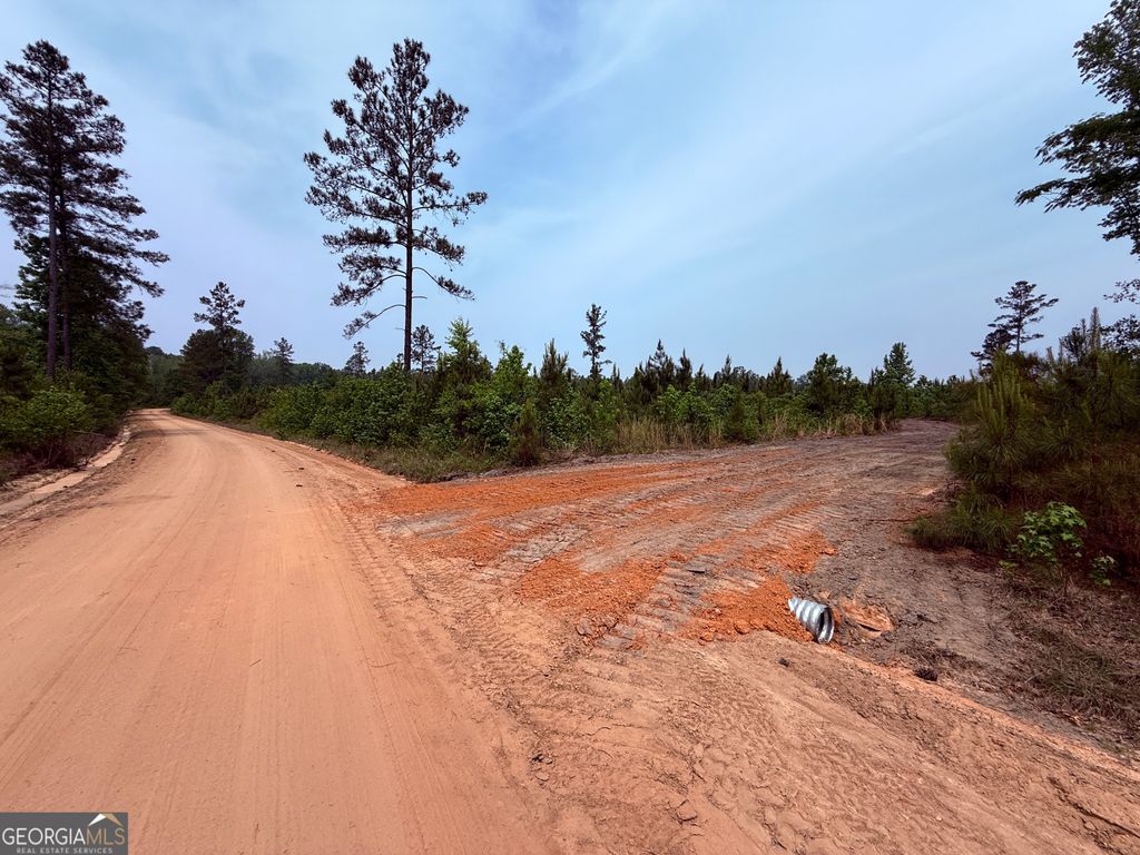 Photo of 12 Graham Road, Cadwell, GA 31009 (MLS # 10774544)