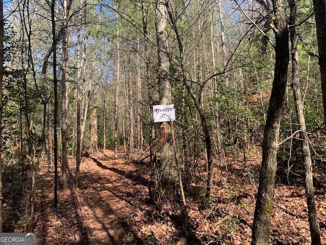 0 East New Hope RD TRACT C