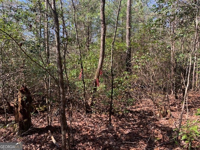 0 East New Hope RD TRACT C
