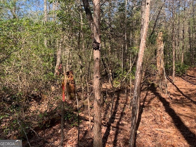 0 East New Hope RD TRACT C