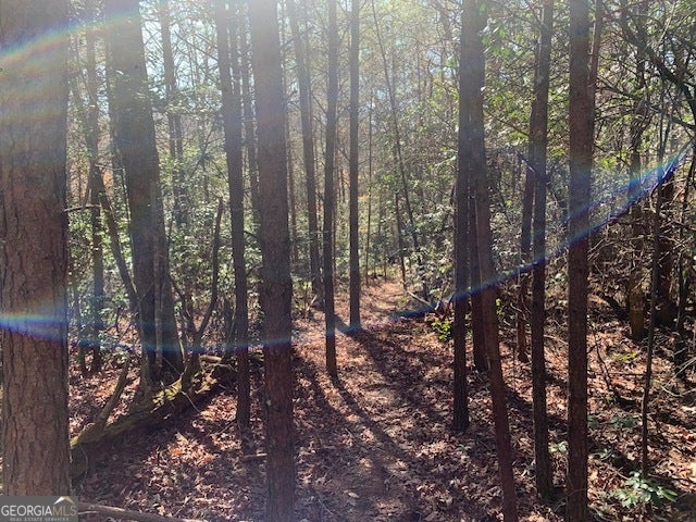 0 East New Hope RD TRACT C