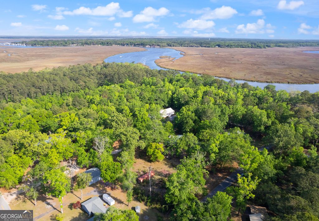 Photo of 1054 Peaceful Valley Drive NE, Townsend, GA 31331 (MLS # 10734325)