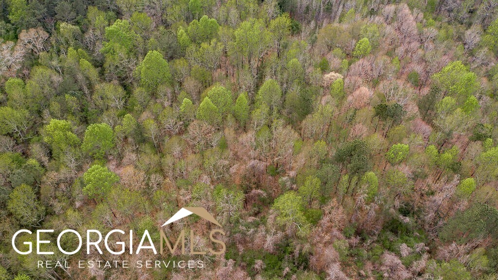 Jefferson, Georgia 30549, United States, ,Land,Pending,78453