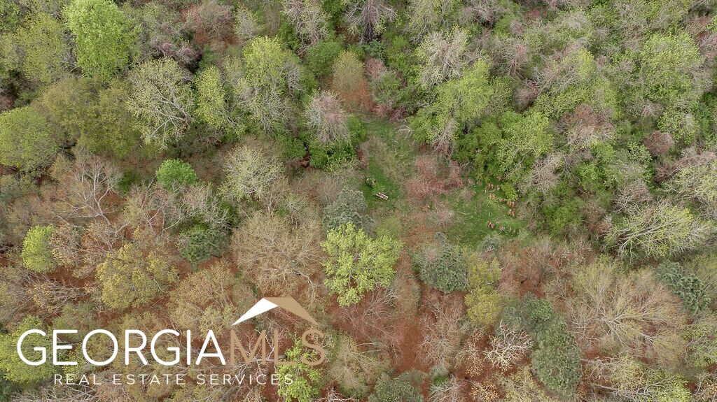 Jefferson, Georgia 30549, United States, ,Land,Pending,78453