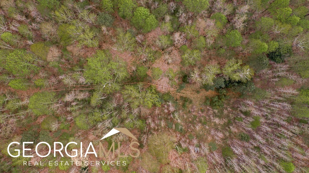 Jefferson, Georgia 30549, United States, ,Land,Pending,78453