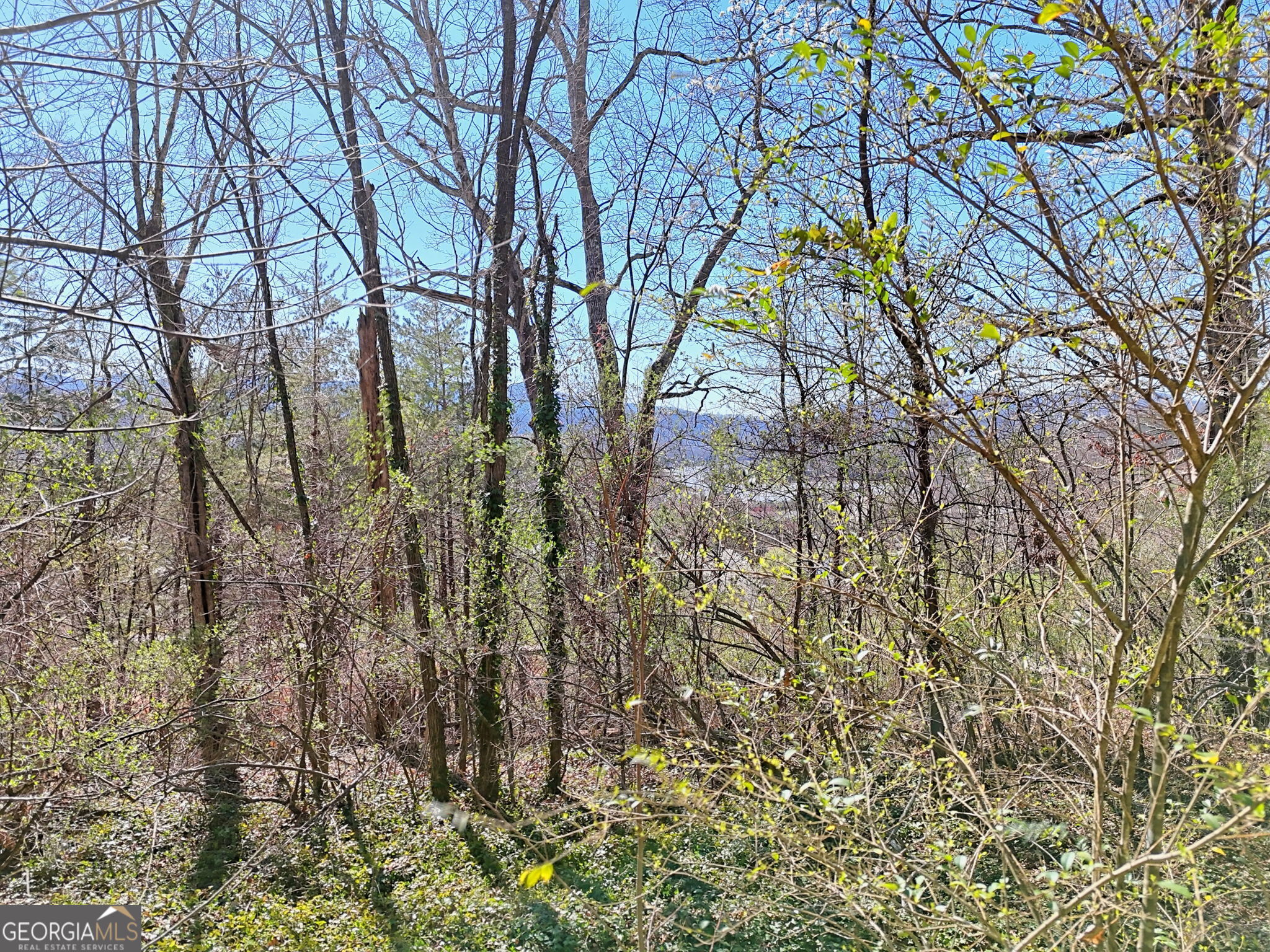 Long Range, Year Around, Mountain & Lake Views!! Come build your Dream HOME in the Mountains! This lot has a level area and gently slopes down to the lower side. This lot has a completed Perc Test with soil report available! Paved level driveway in place to original homesite. Electric available and Public water available with meter already installed. All paved road access. This property is located less than a mile to a public boat ramp and the Mayor's Park. Don't let this opportunity slip away!