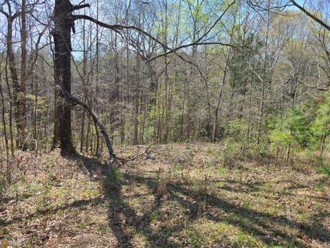 Featured picture for the property 10141380