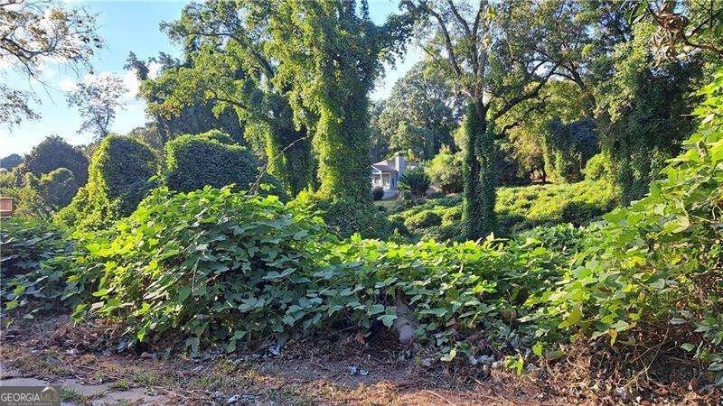 Photo of 1871 Lakewood Avenue SE, Atlanta, GA 30315 (MLS # 10872124)