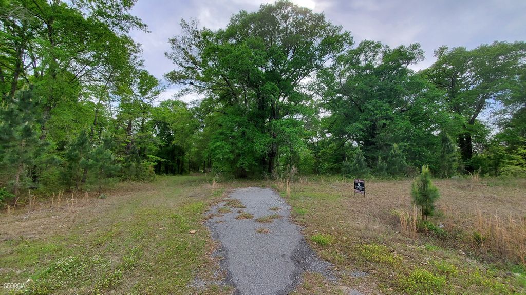 Photo of 0 Meeks Road, Rentz, GA 31075 (MLS # 10754675)